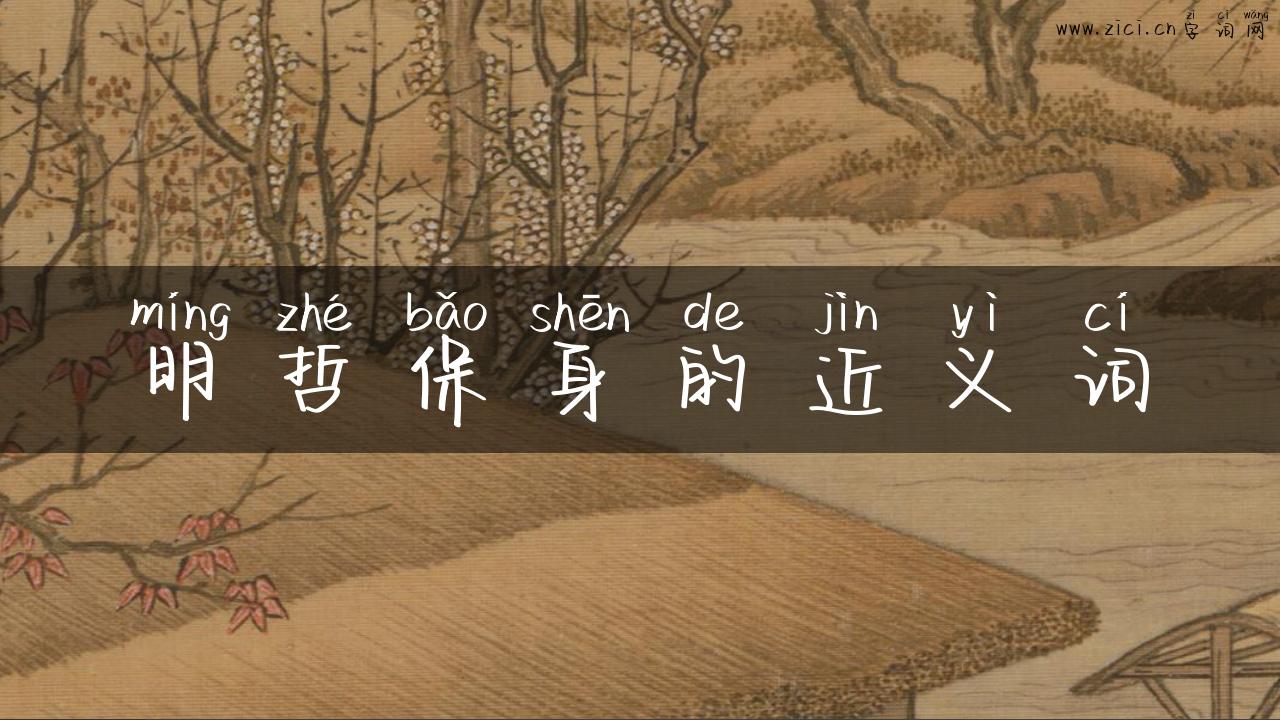 明哲保身的近义词