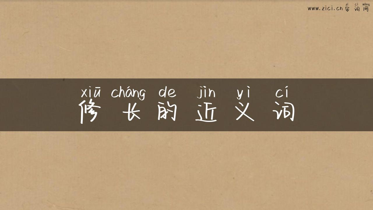 修长的近义词