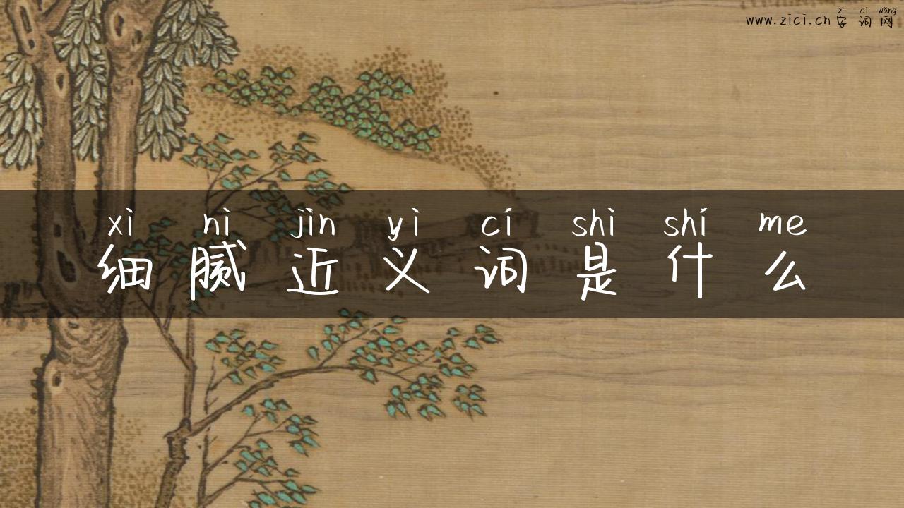 细腻近义词是什么