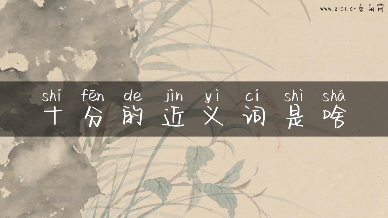 十分的近义词是啥