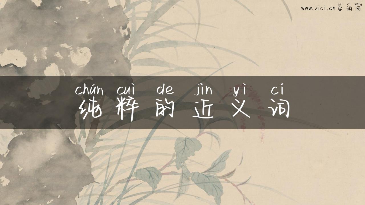 纯粹的近义词