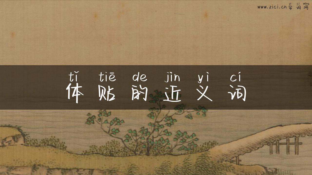 体贴的近义词