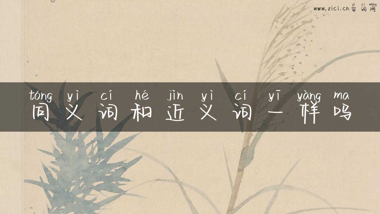 同义词和近义词一样吗