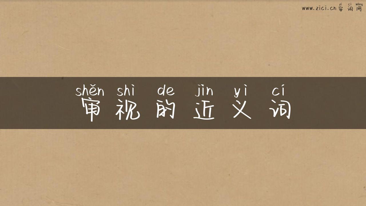 审视的近义词