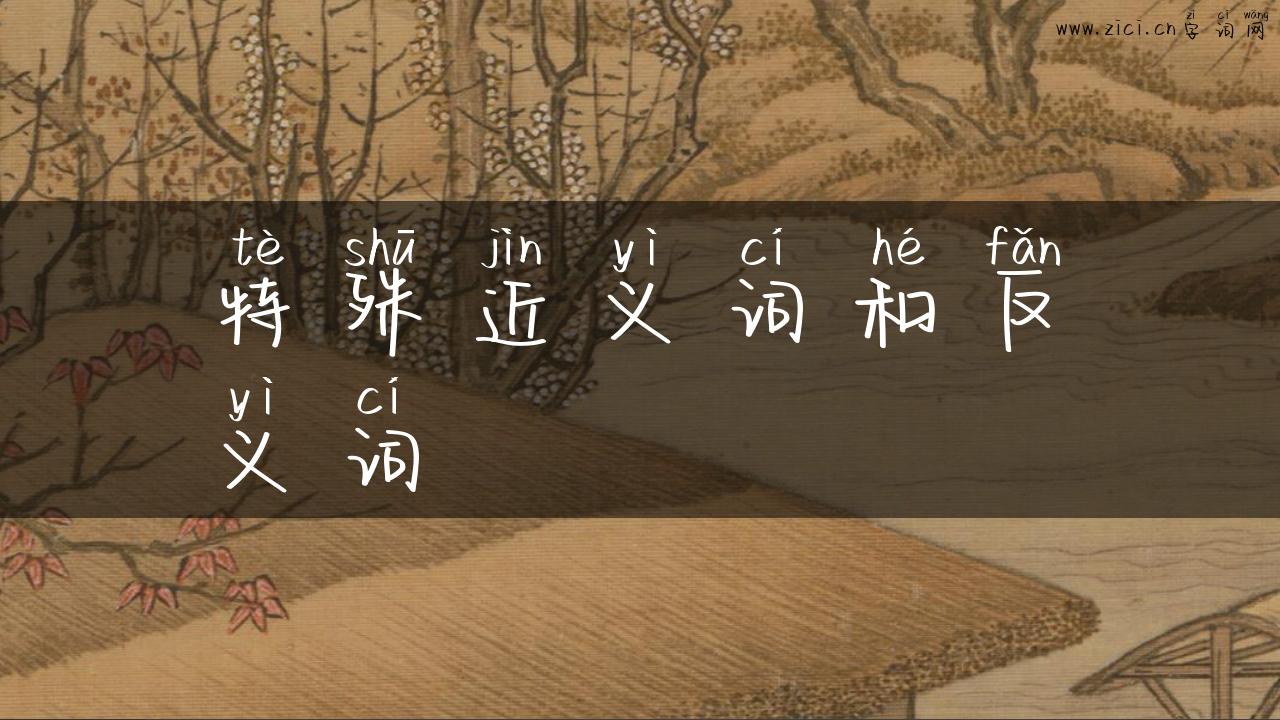 特殊近义词和反义词