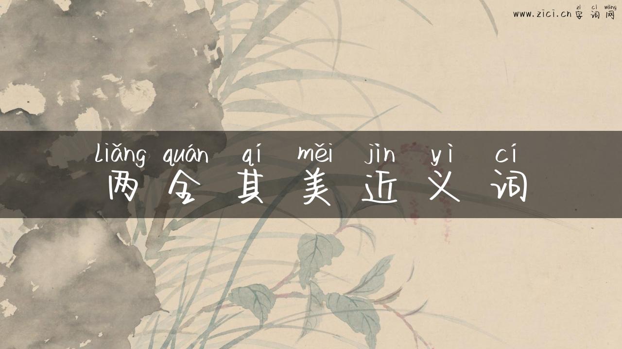 两全其美近义词