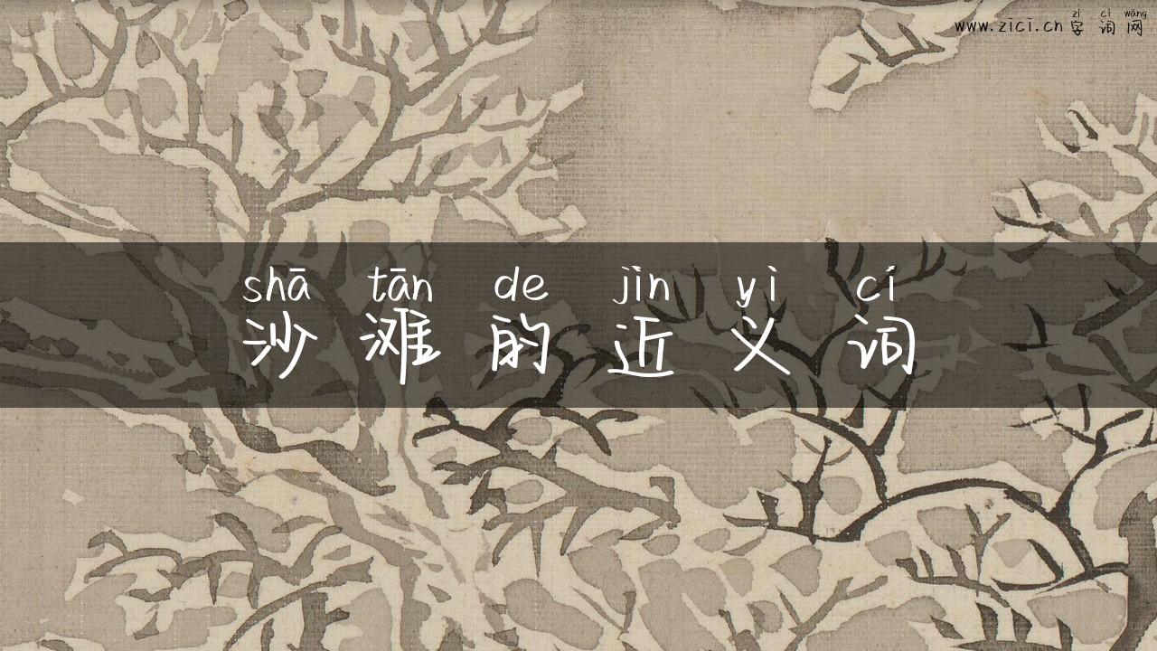 沙滩的近义词