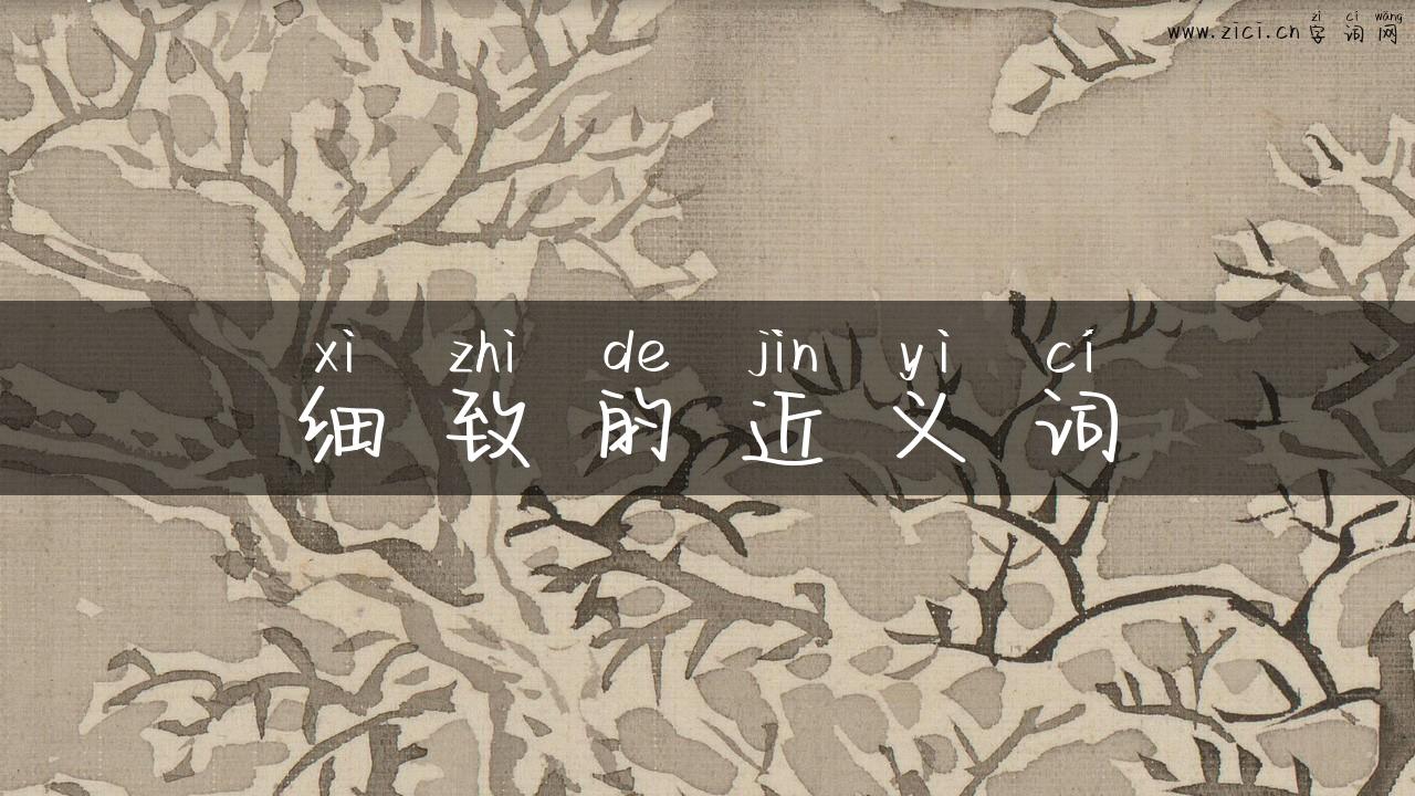 细致的近义词