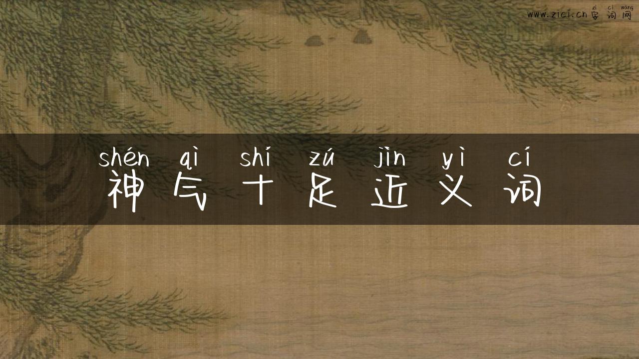 神气十足近义词