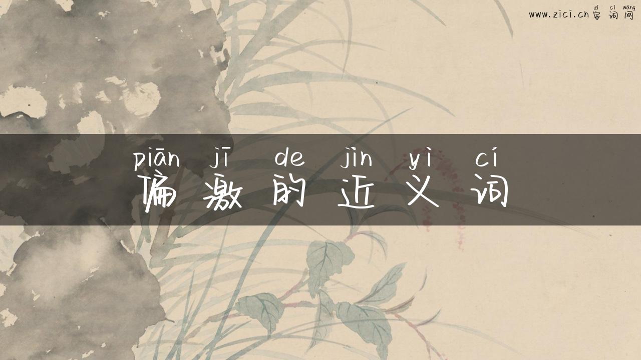 偏激的近义词