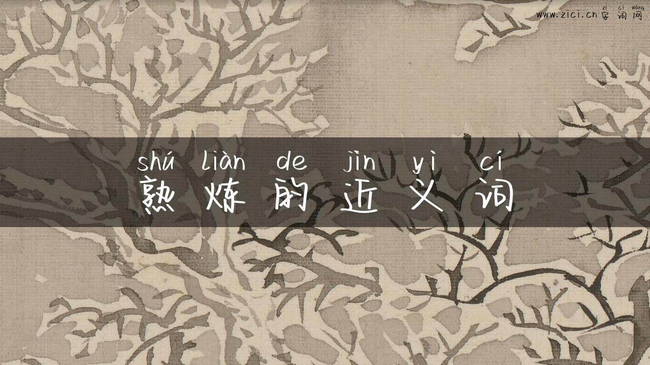 熟炼的近义词