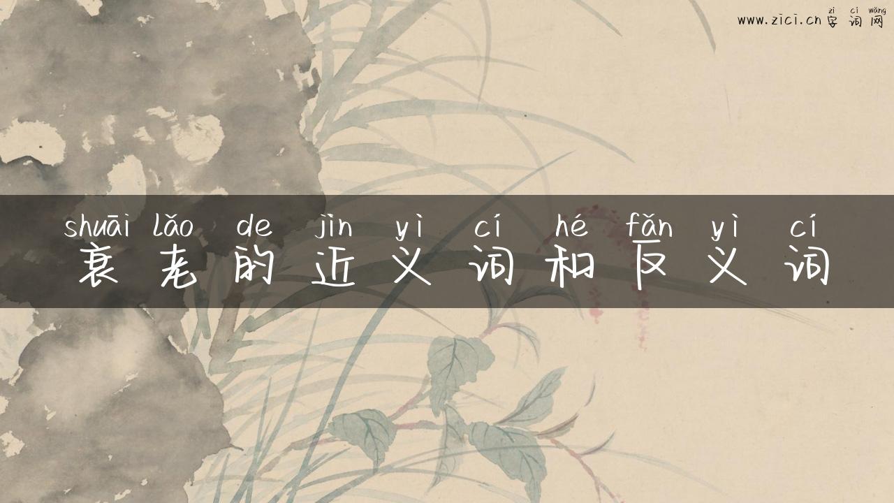 衰老的近义词和反义词