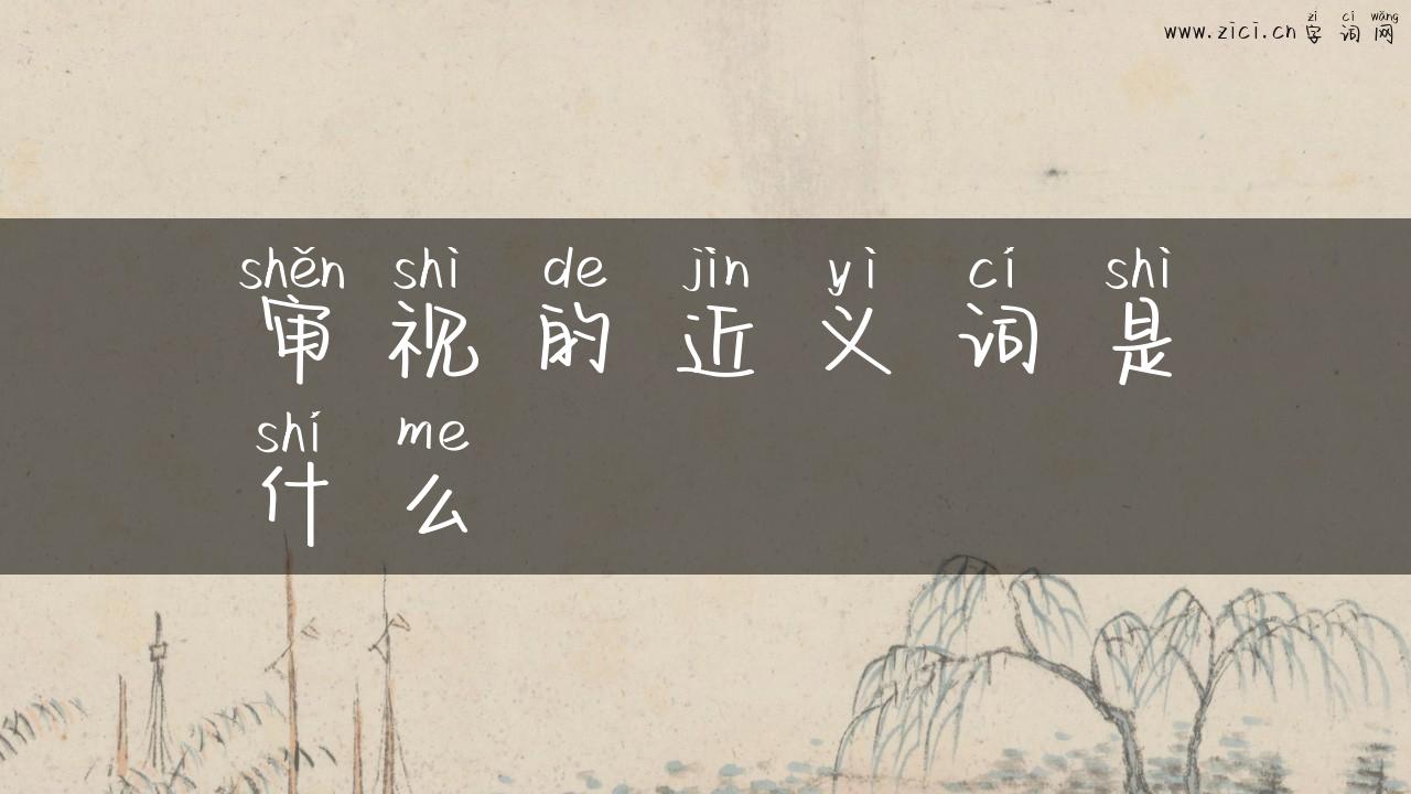 审视的近义词是什么