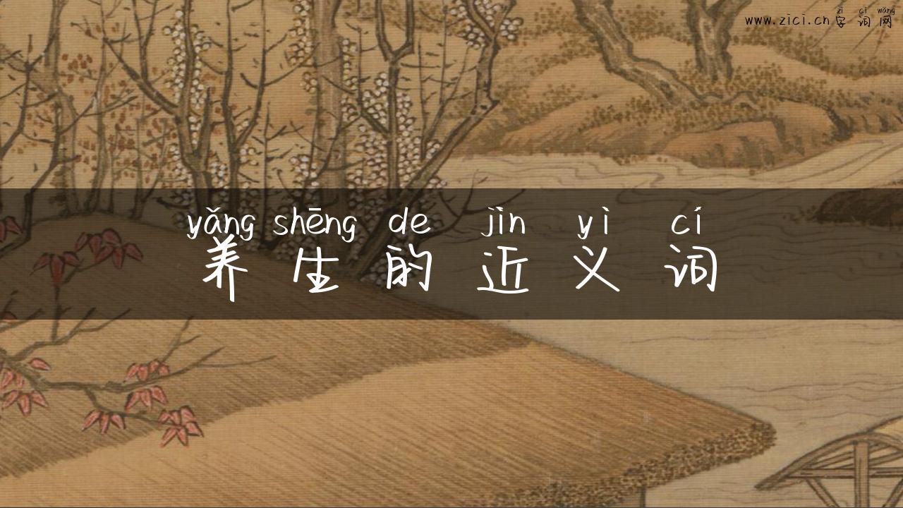 养生的近义词