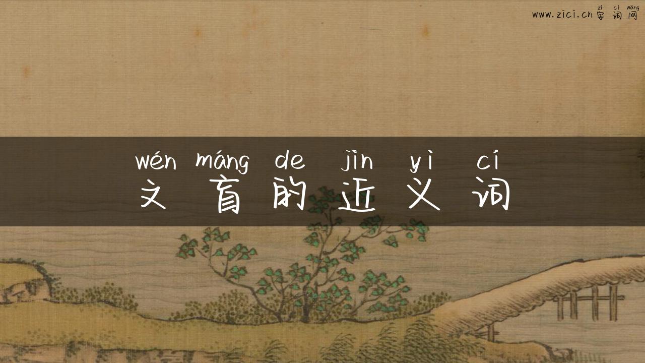 文盲的近义词