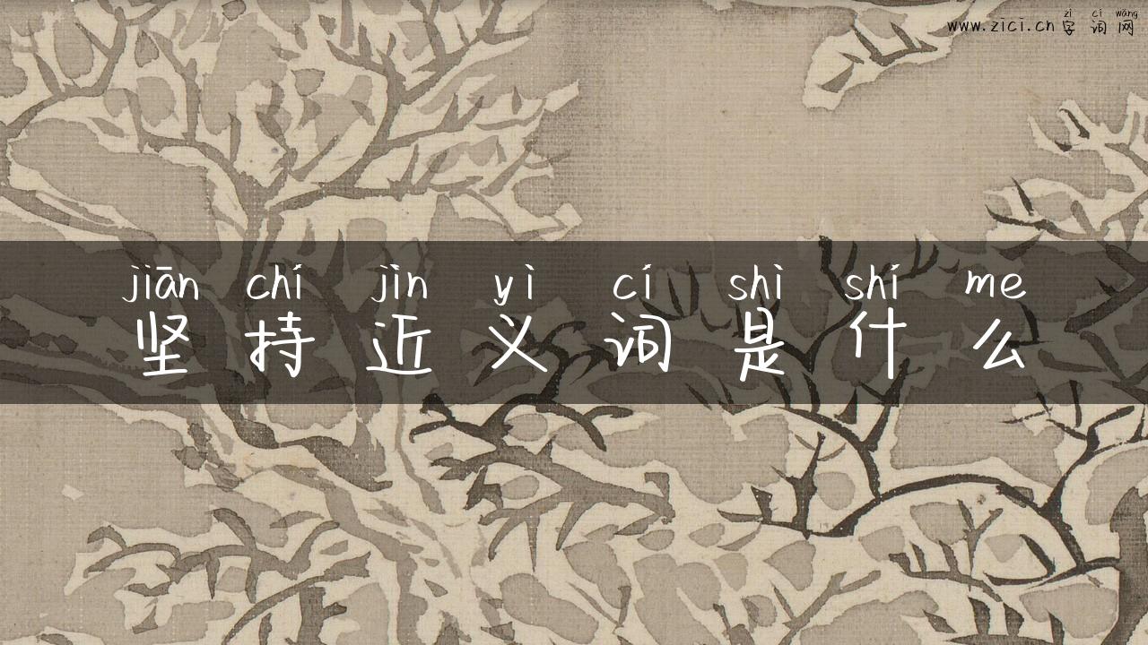 坚持近义词是什么