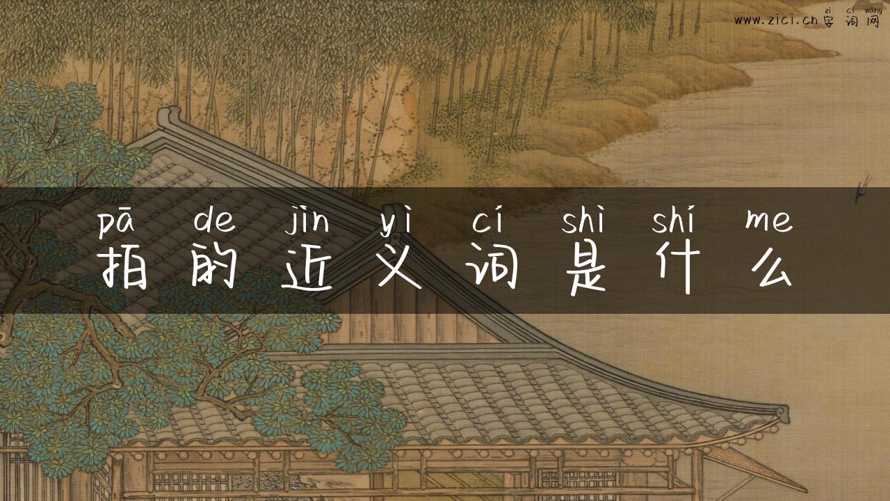 拍的近义词是什么