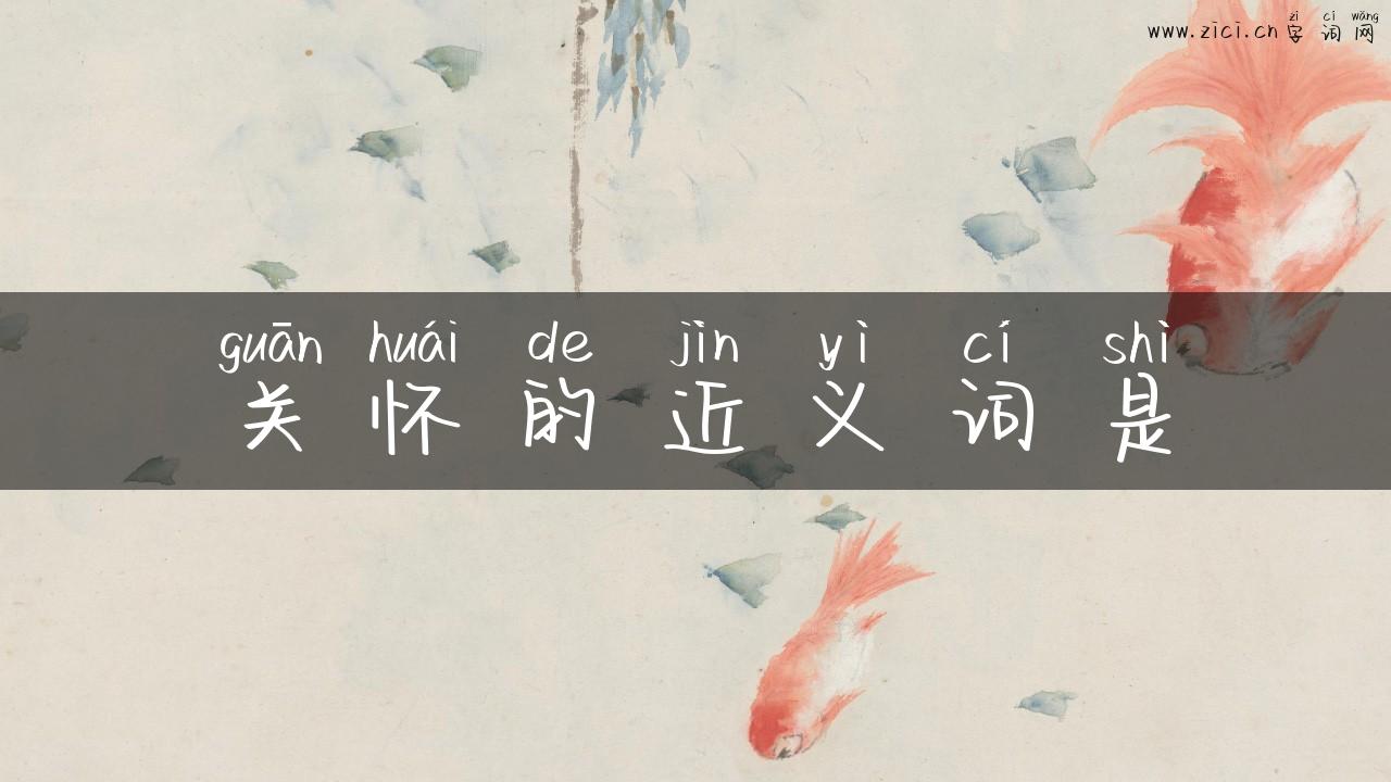 关怀的近义词是