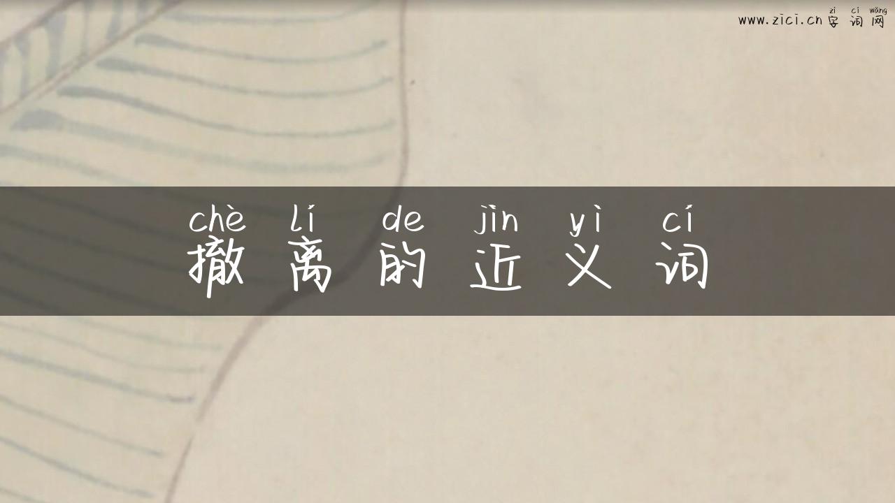 撤离的近义词