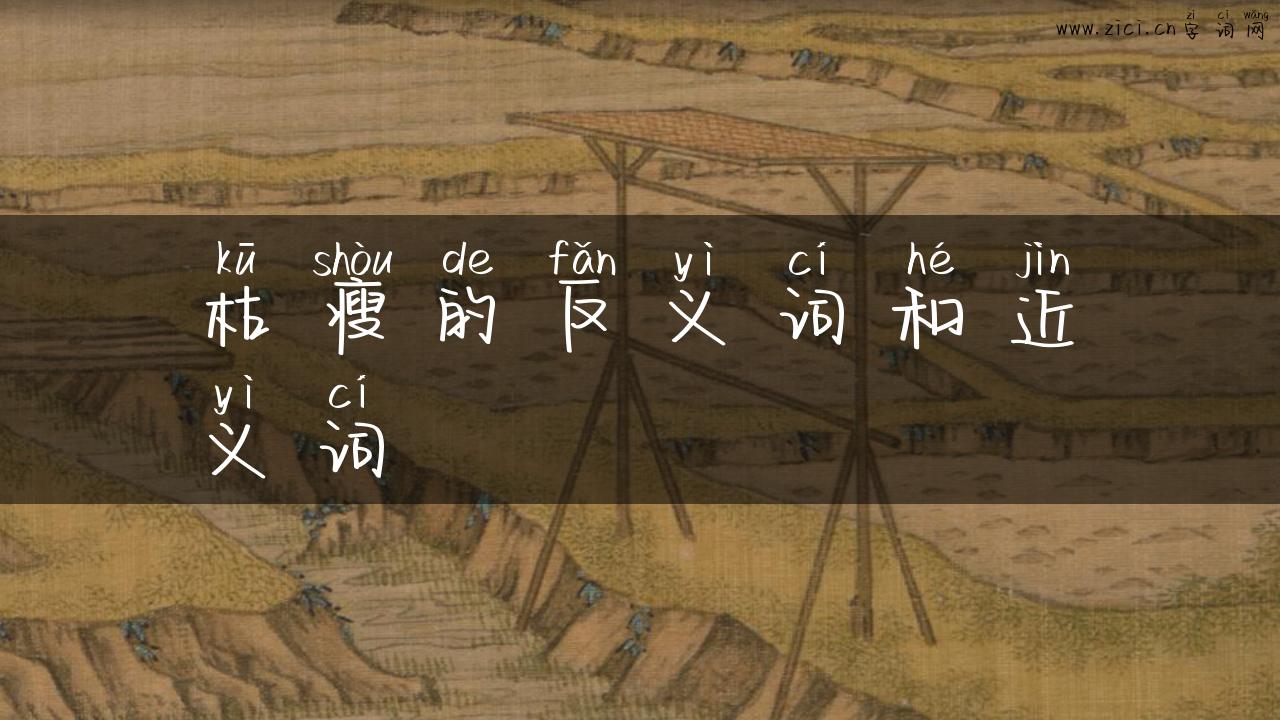 枯瘦的反义词和近义词