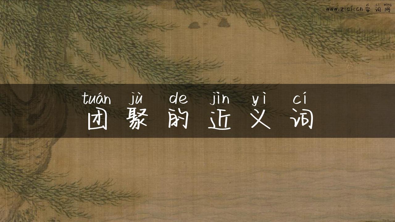 团聚的近义词