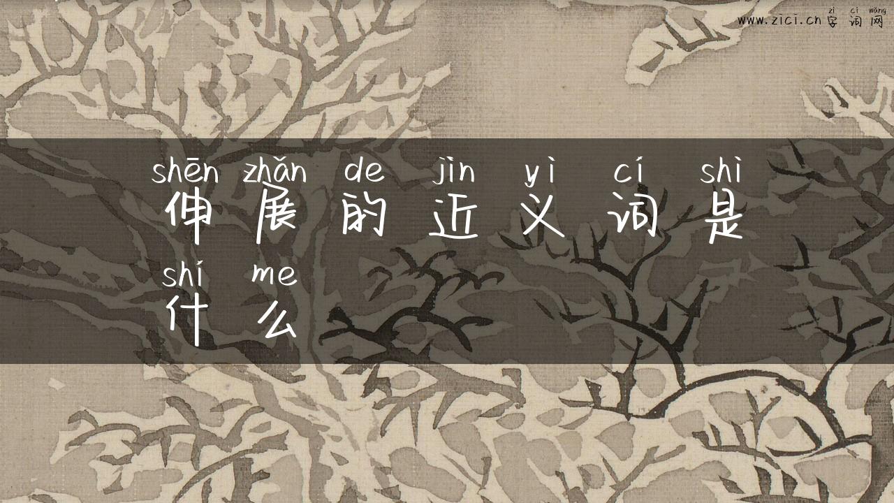 伸展的近义词是什么