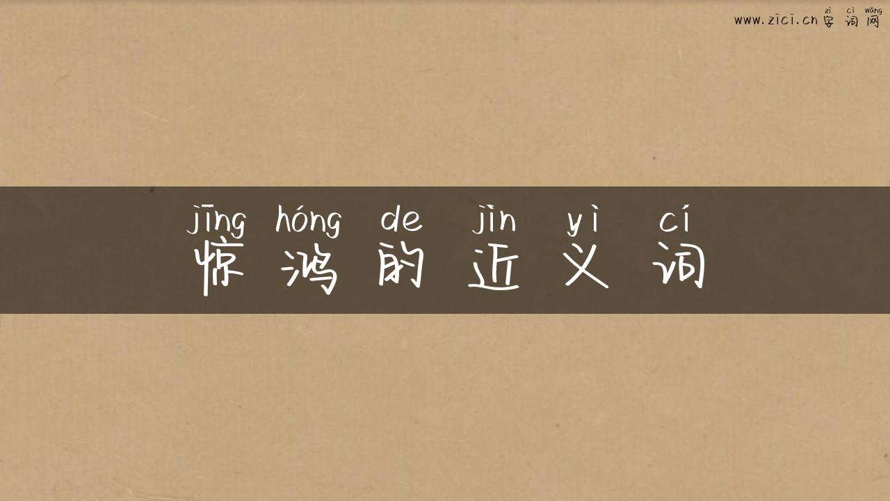 惊鸿的近义词