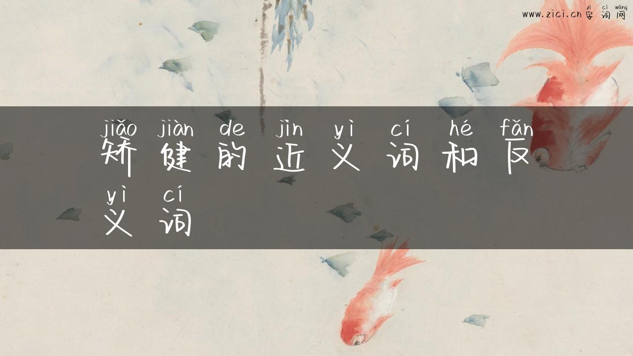 矫健的近义词和反义词