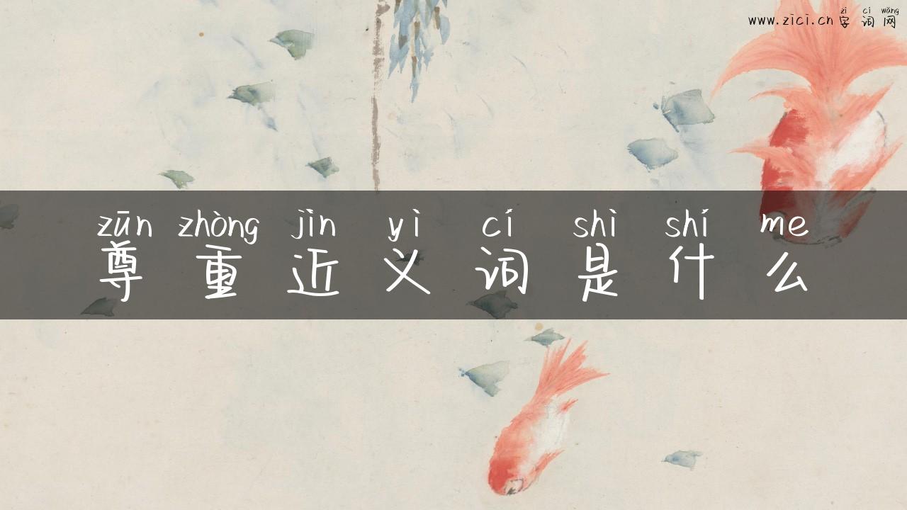 尊重近义词是什么