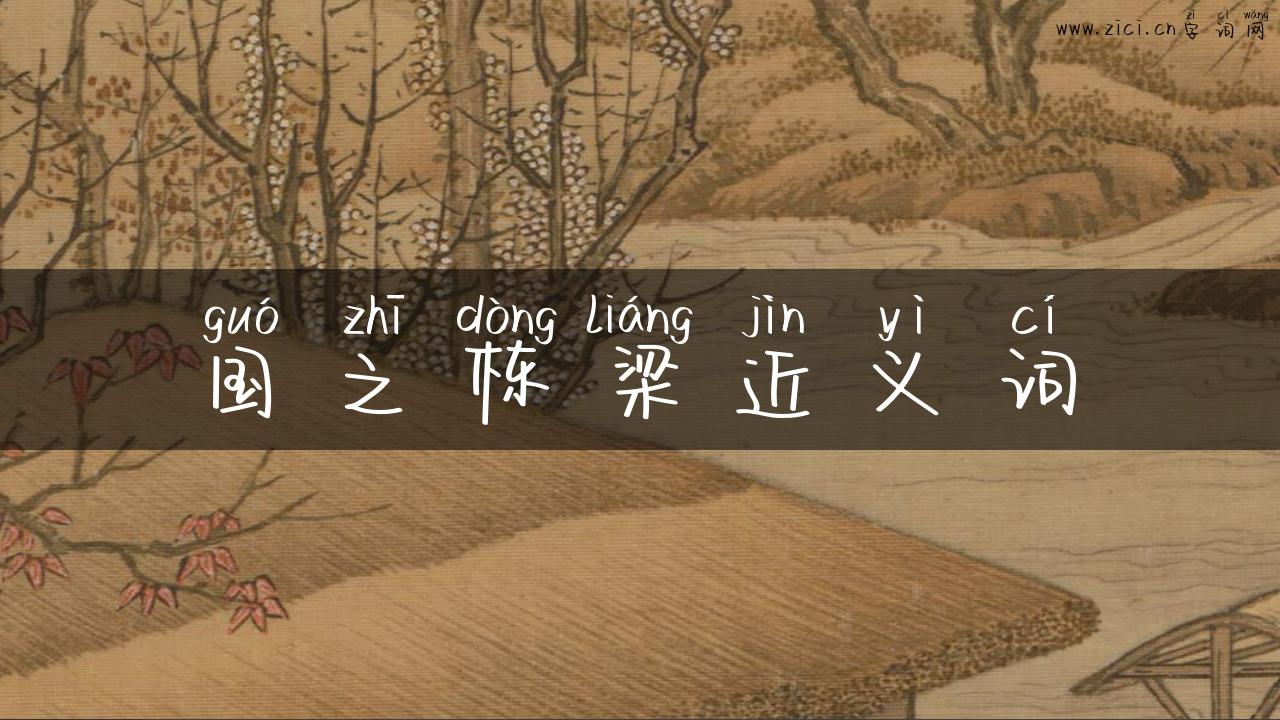 国之栋梁近义词