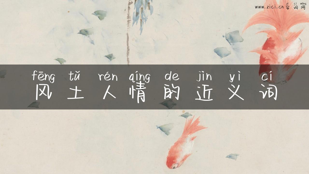 风土人情的近义词