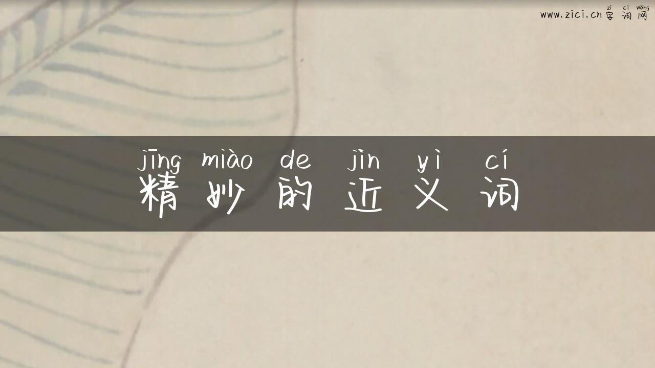 精妙的近义词