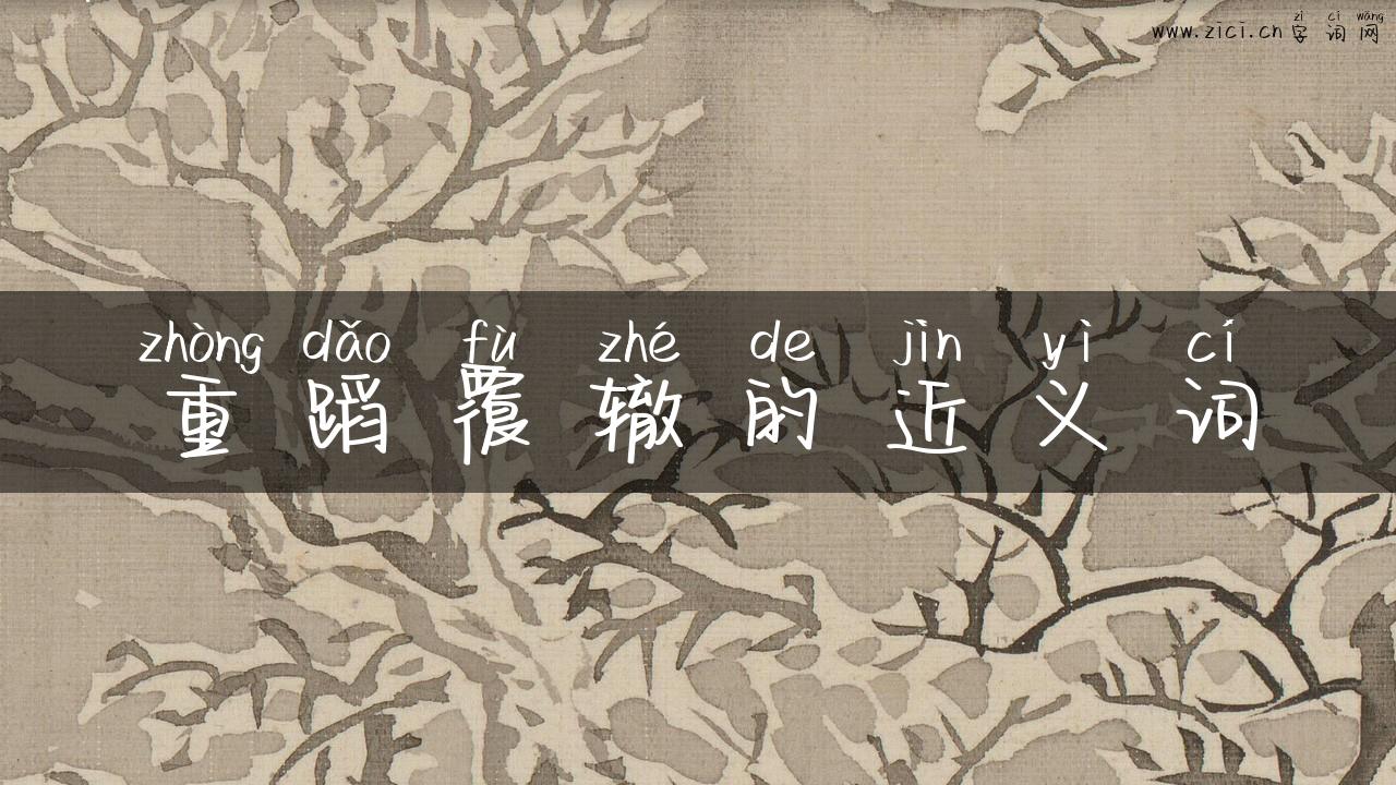 重蹈覆辙的近义词