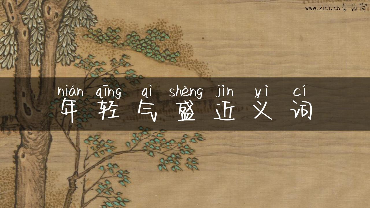 年轻气盛近义词