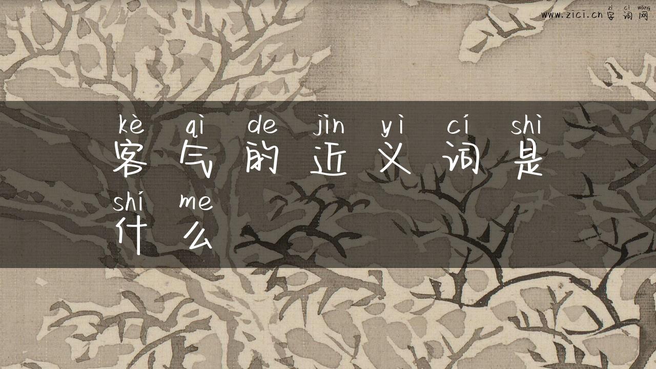 客气的近义词是什么