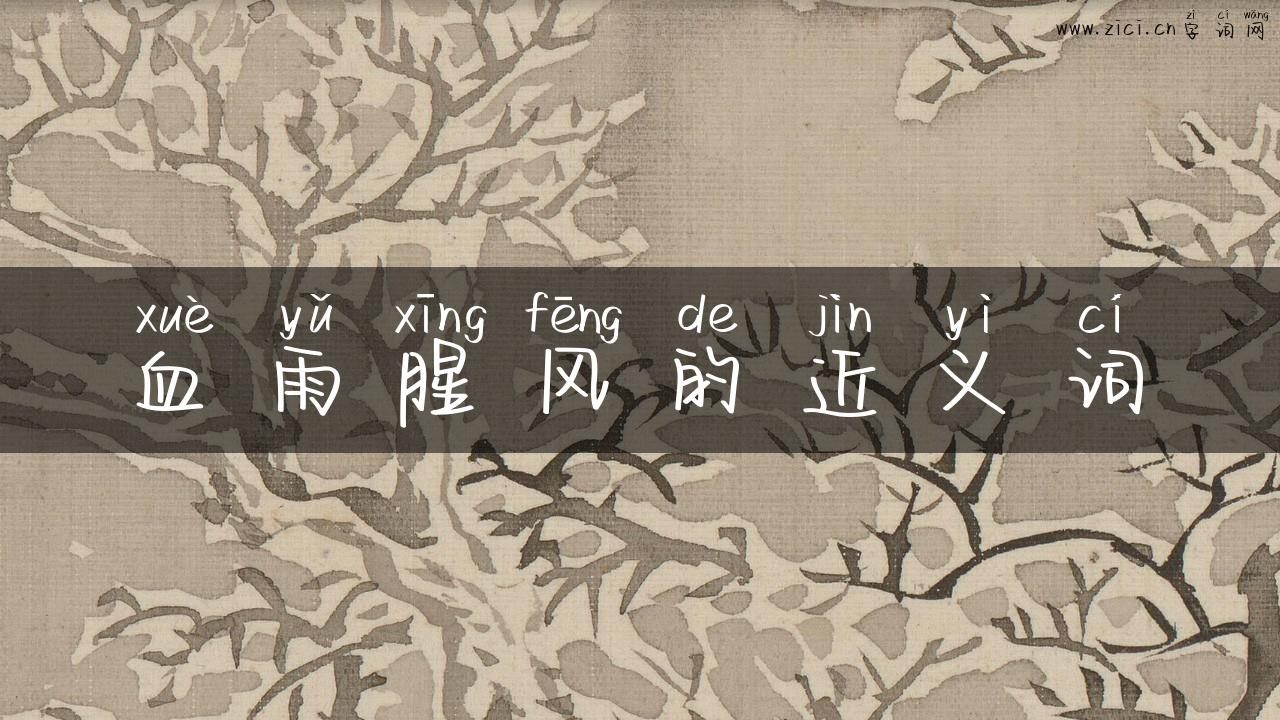 血雨腥风的近义词