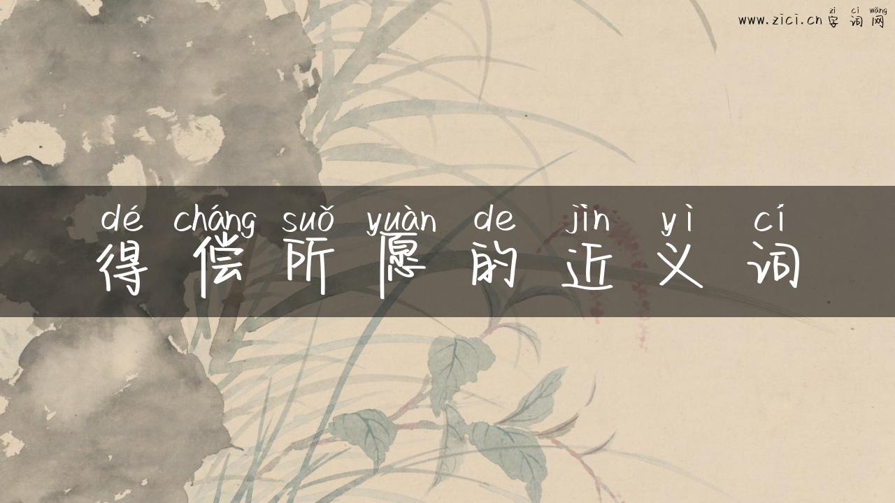 得偿所愿的近义词
