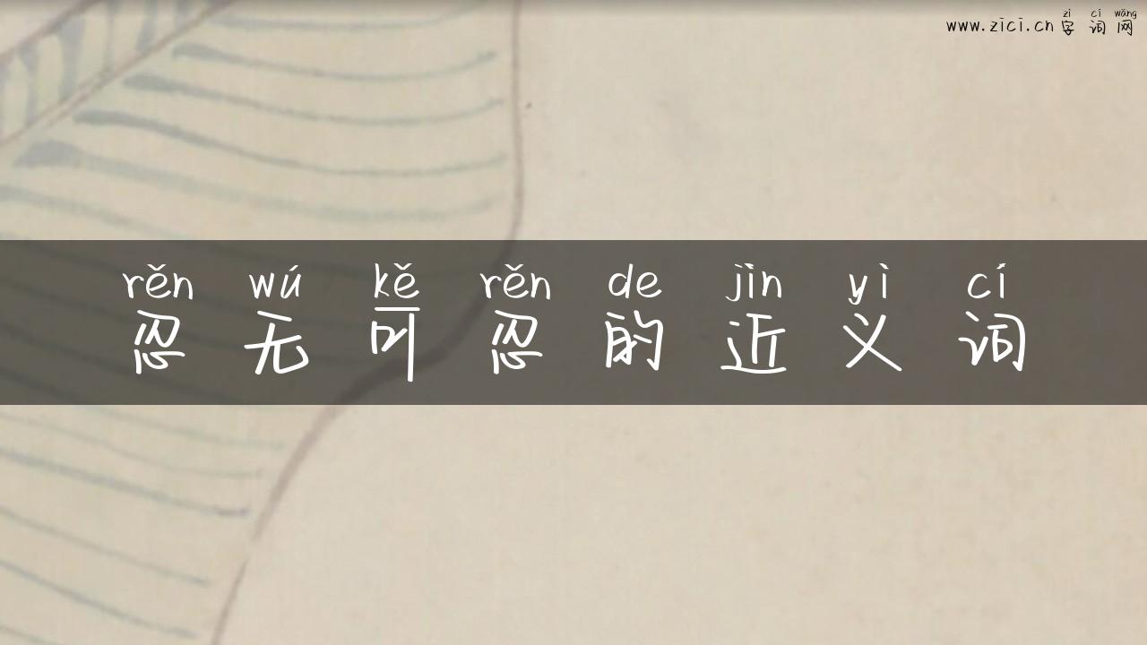 忍无可忍的近义词
