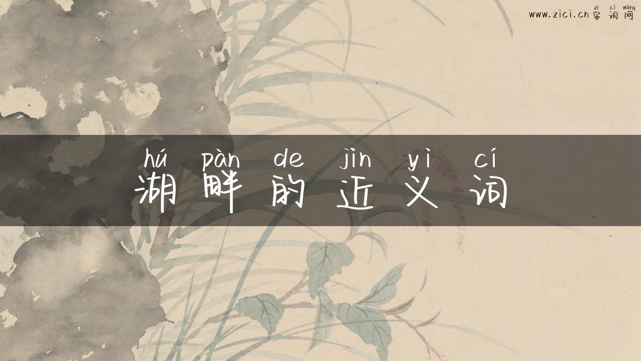 湖畔的近义词