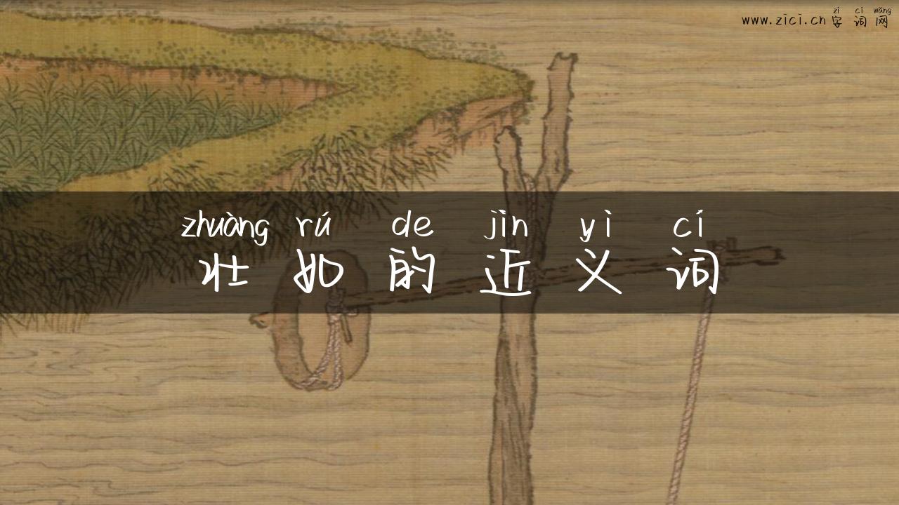 壮如的近义词