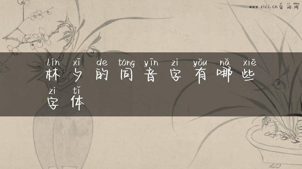 林夕的同音字有哪些字体
