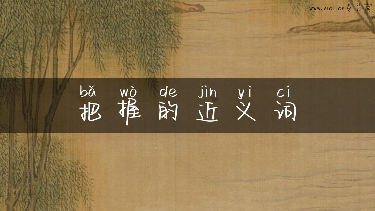 把握的近义词