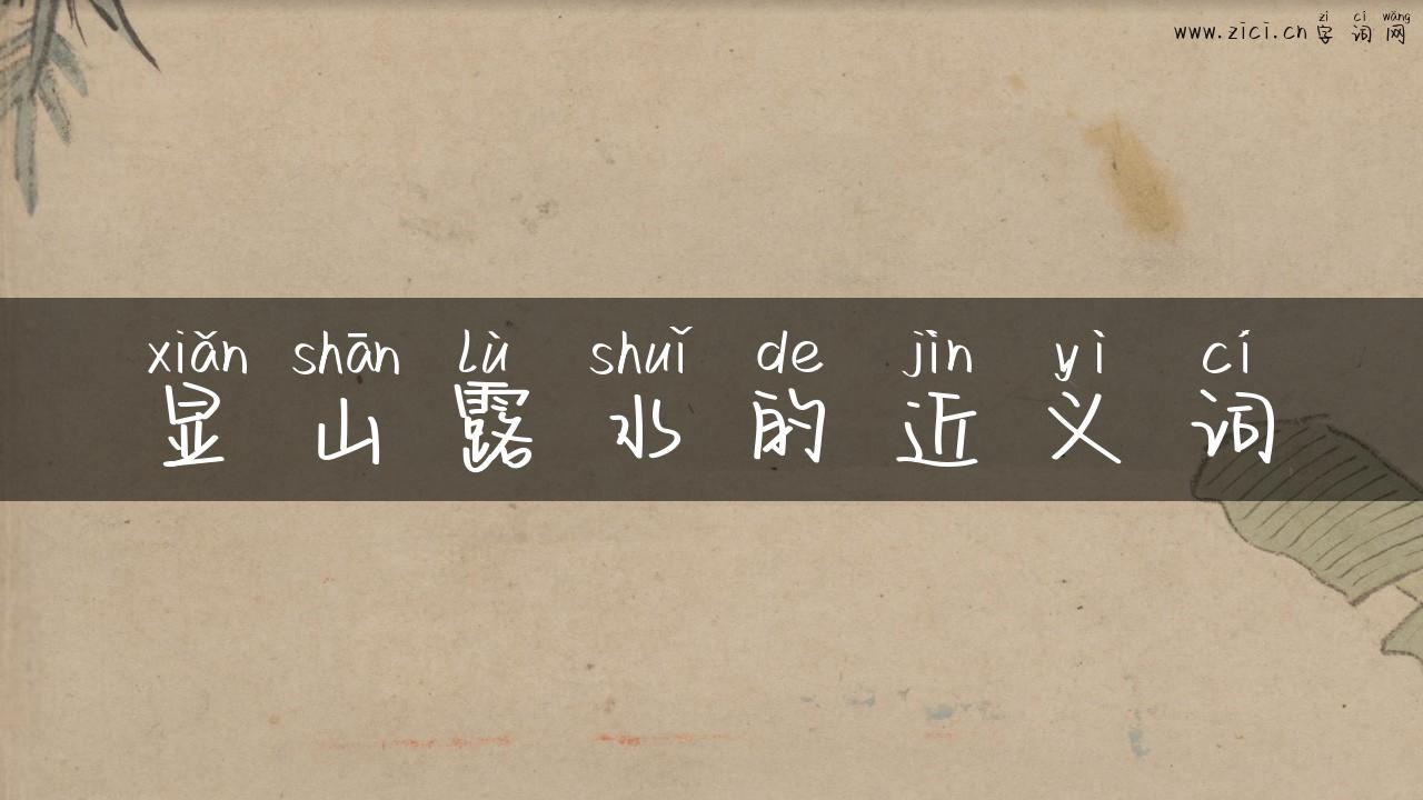 显山露水的近义词