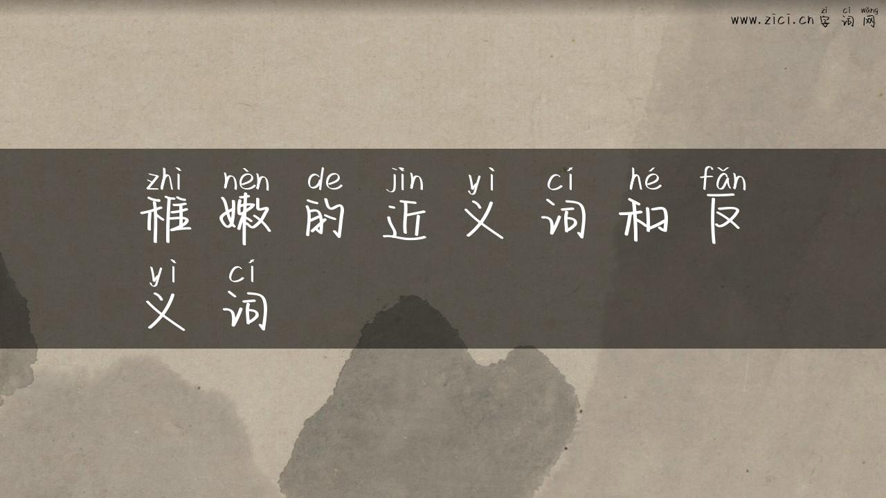 稚嫩的近义词和反义词