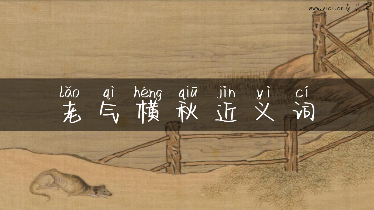 老气横秋近义词