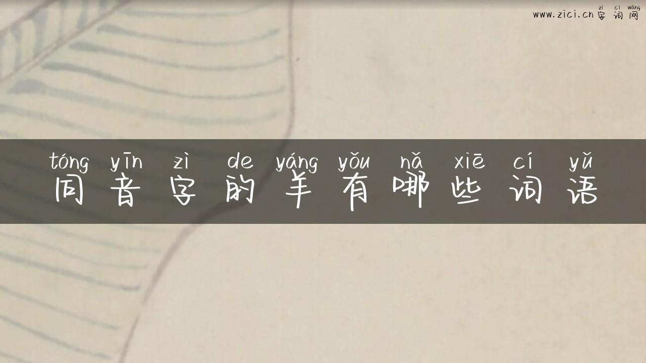 同音字的羊有哪些词语