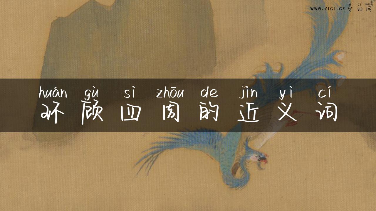 环顾四周的近义词