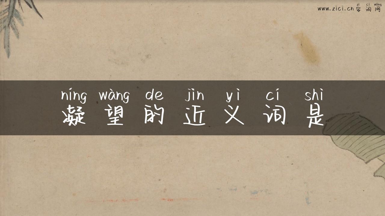凝望的近义词是