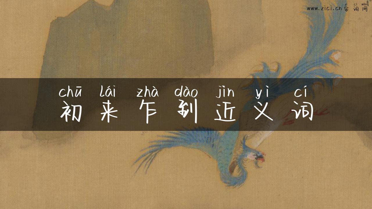 初来乍到近义词