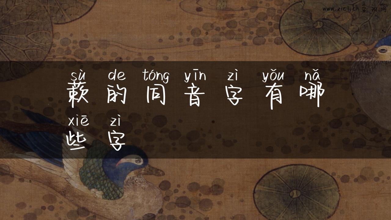 蔌的同音字有哪些字
